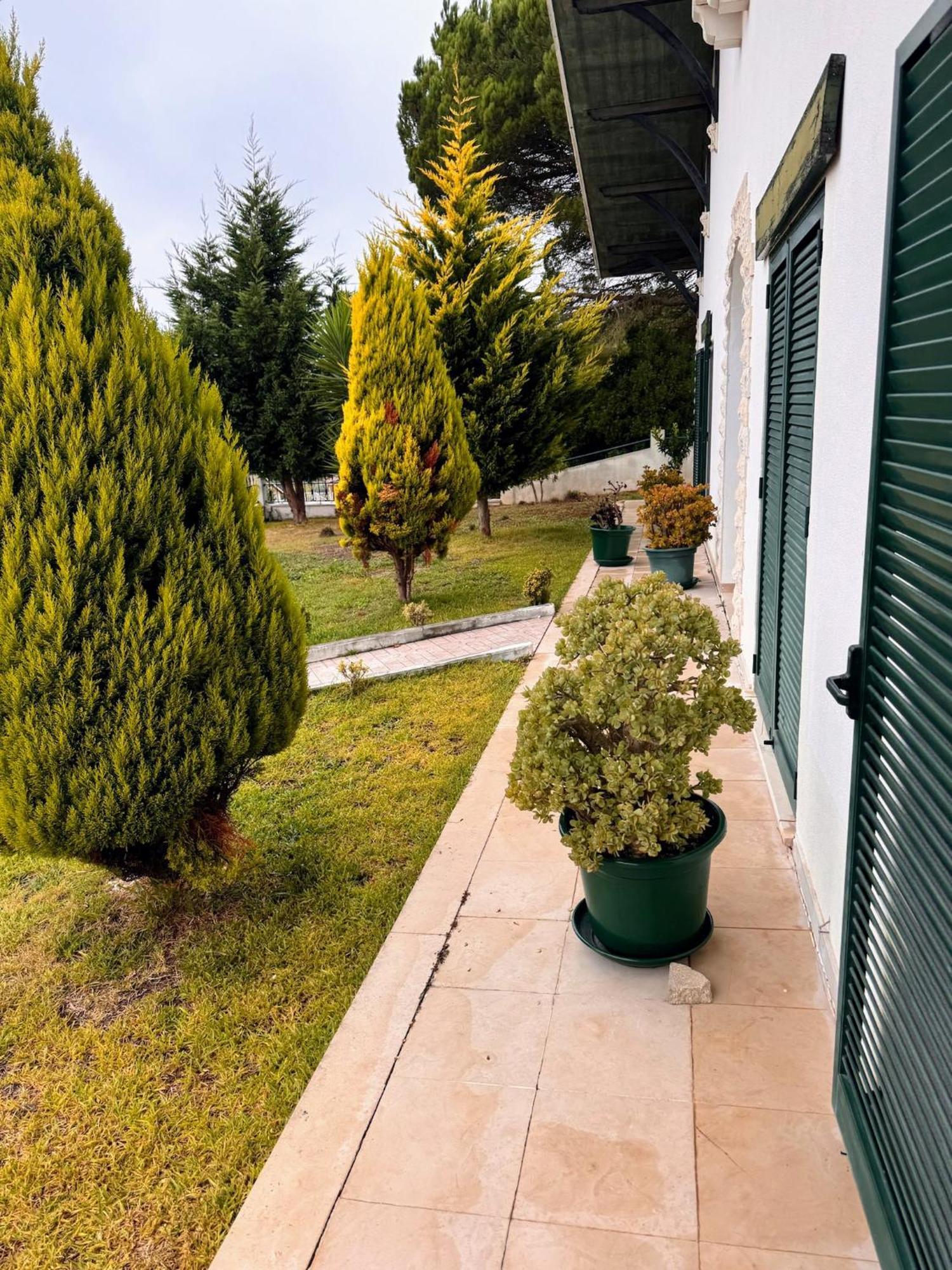 Leiria Side Hotel ภายนอก รูปภาพ